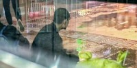 1800万老人的漂流