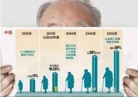 中国老龄化加速下“银发经济”崛起  干货分析中国银发族VS日本银发族有哪些差距?