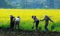 【深度】中国最大的危机并不在房地产，而是走向死亡农村