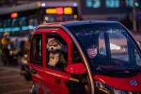 步步惊心！老年代步车“灰色地带”该管管了