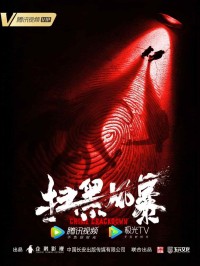 扫黑风暴在线观看 最近扫黑风暴很火 大家看了吗？
