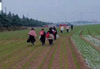 富士康返乡事件:管理失职的巨大灾难