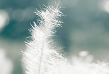 未来10年，准备好赚老年人的钱